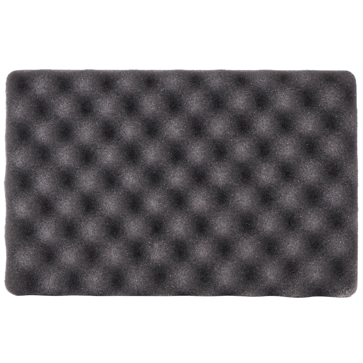 KMKZ WASH SPONGE