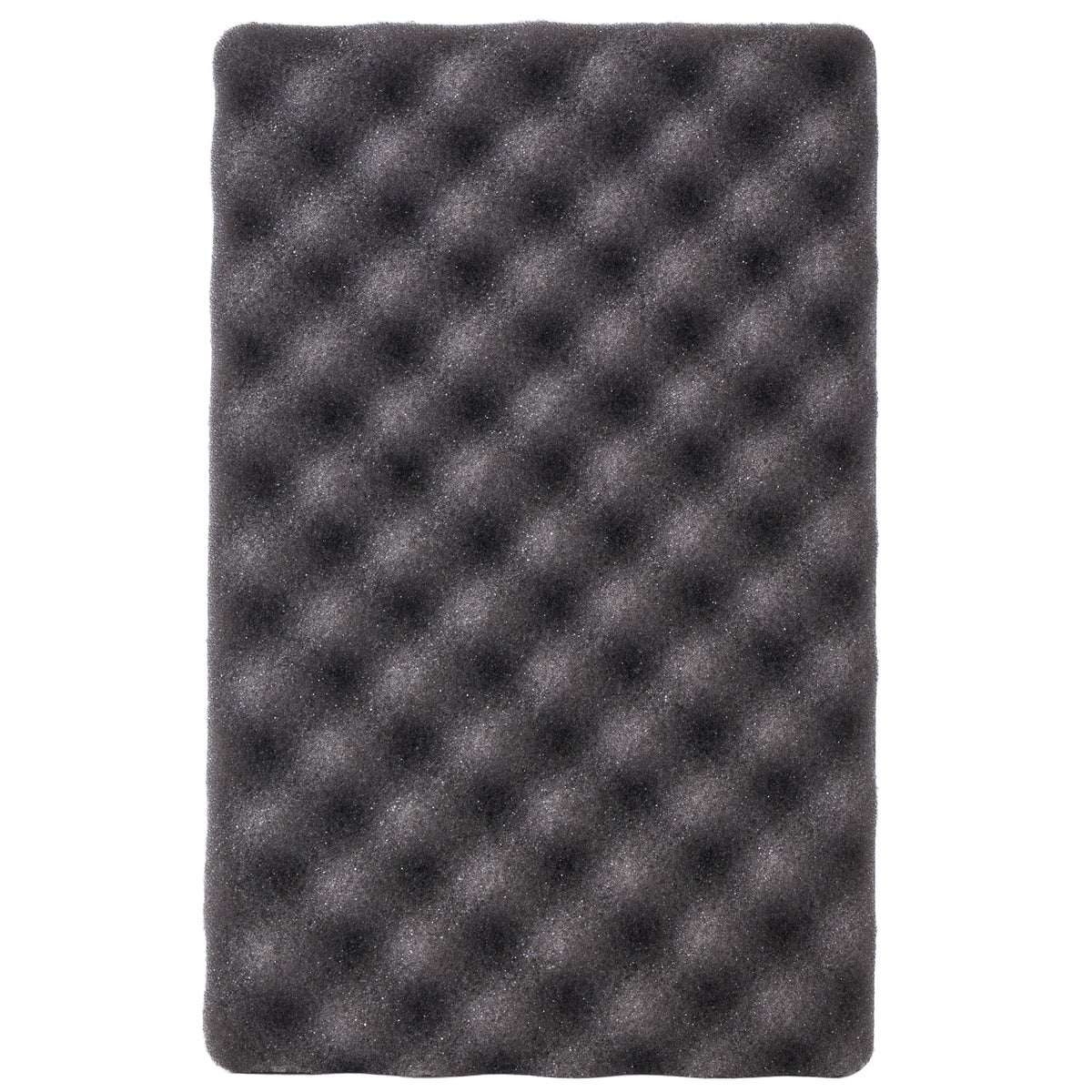 KMKZ WASH SPONGE